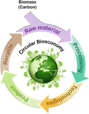 Frontiers | Editorial: Biomass, Bioenergy And Biofuels For Circular ...